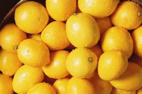 lepmos|lepmos .